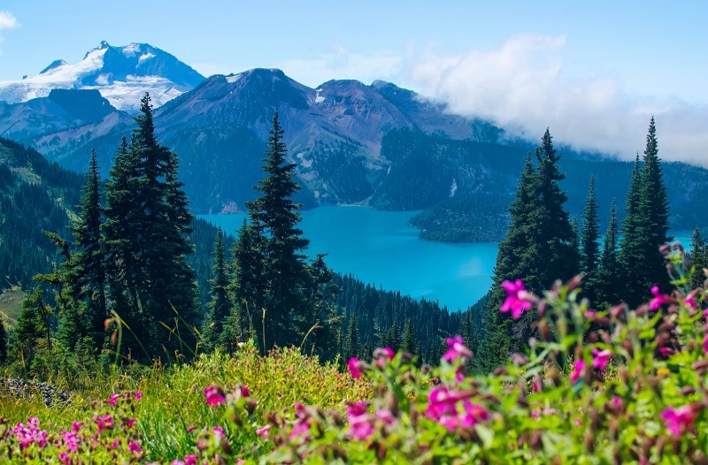 Canada-Experience-Garibaldi-Lake-abeti-featured