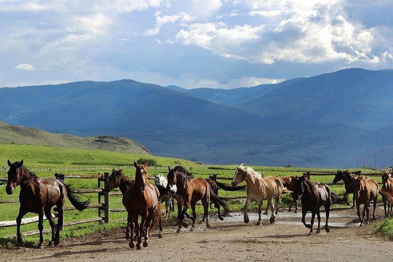canada-experience-romantico-ranch