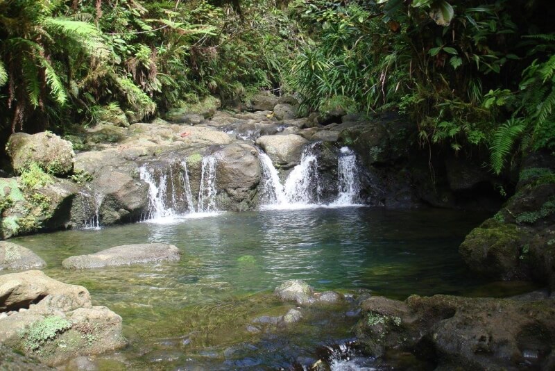 canada-experience-papeete-waterfall-Lavatubes-Tahiti-Rev-Trek