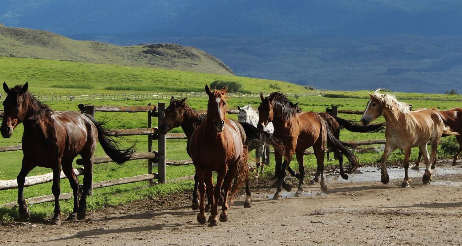canada-experience-ranch&lodges-cluster-2